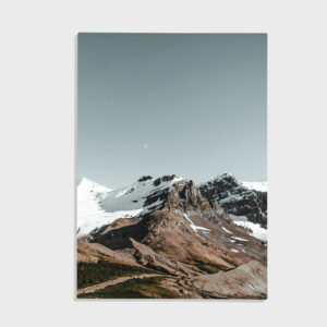 Natur nr 158