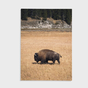 Natur nr 25