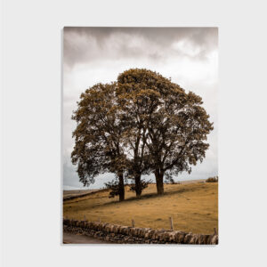 Natur nr 49