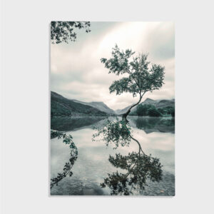 Natur nr 184