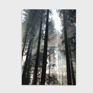 Natur nr 153