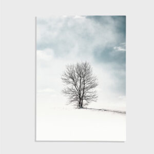 Natur nr 185