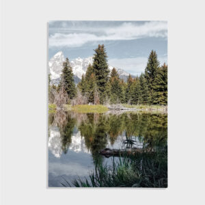 Natur nr 112