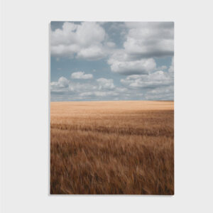 Natur nr 17