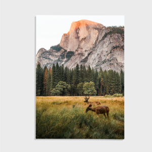 Natur nr 172