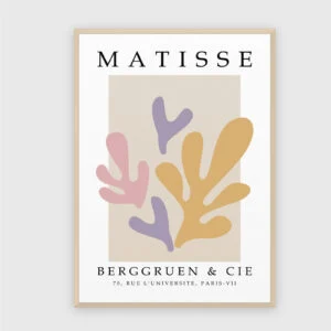 Matisse nr 66
