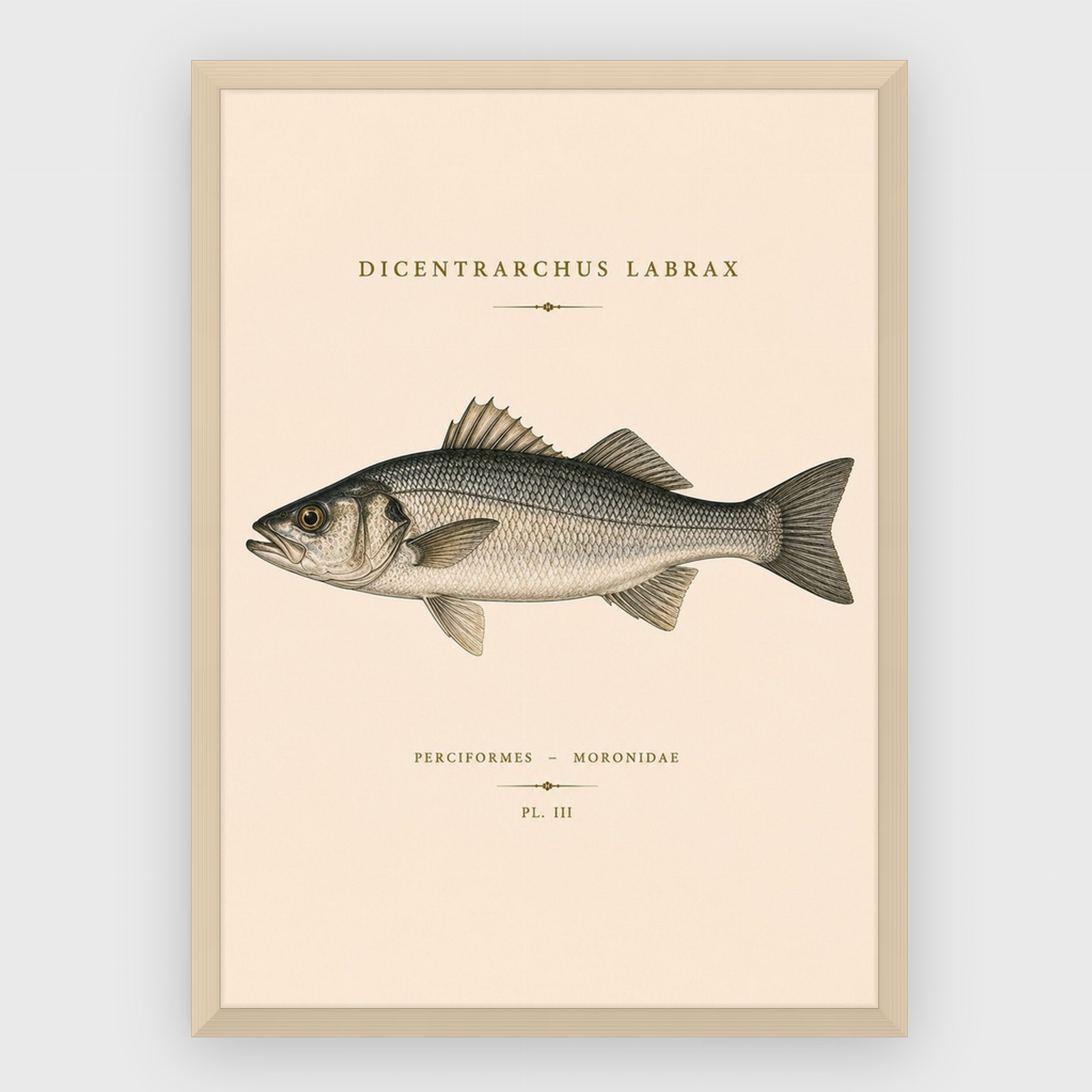 Gastronomi – nr 11