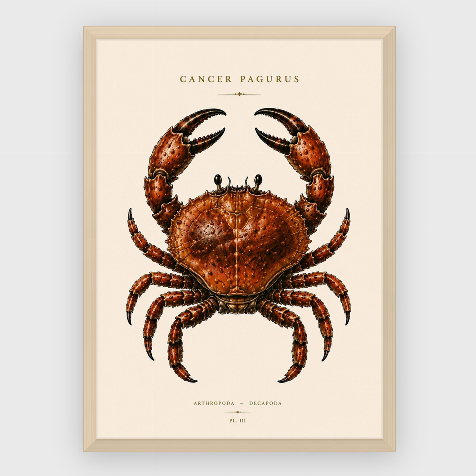Gastronomi – nr 23