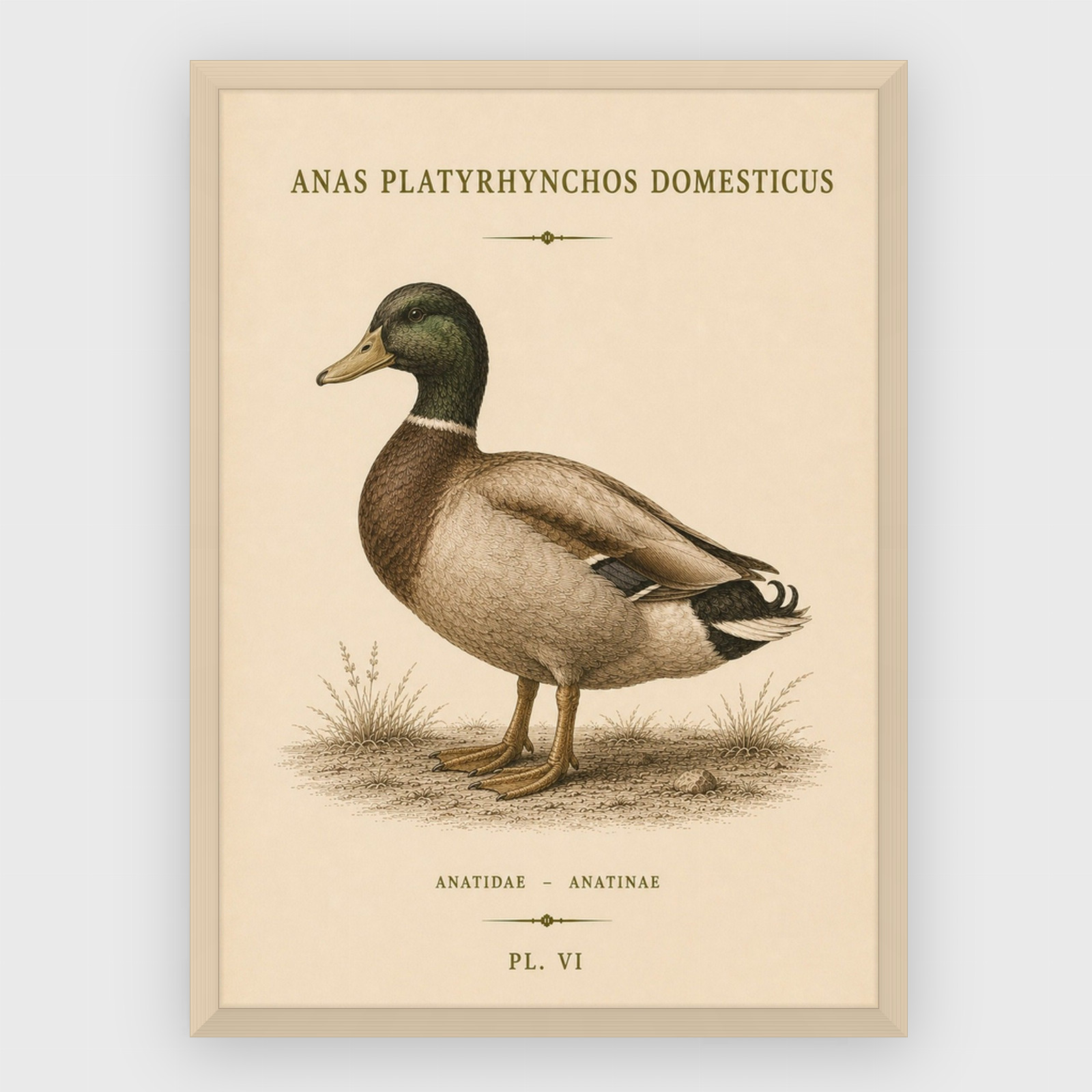 Gastronomi – nr 1