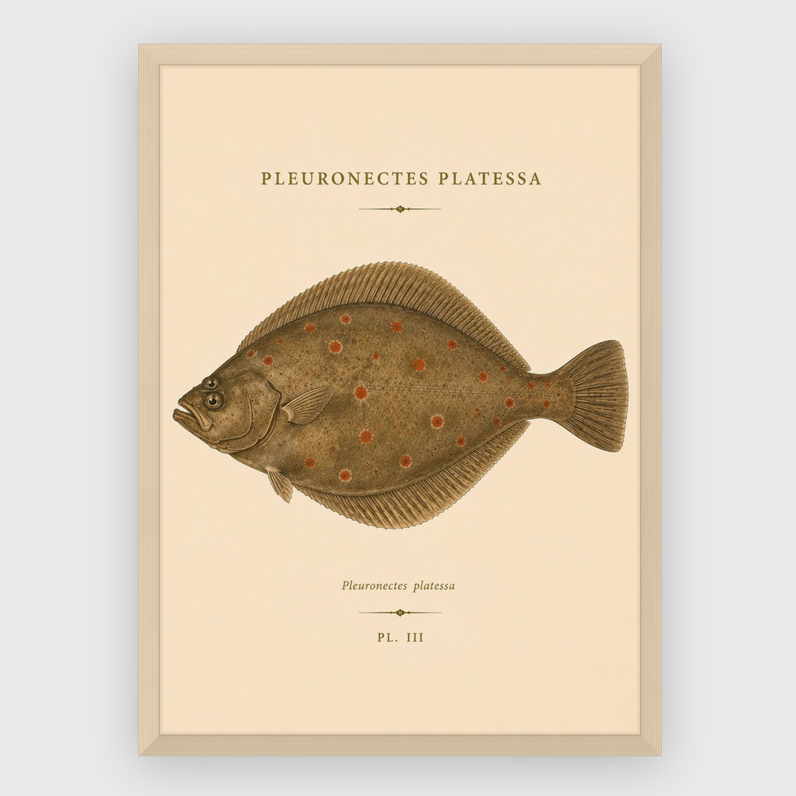 Gastronomi – nr 35