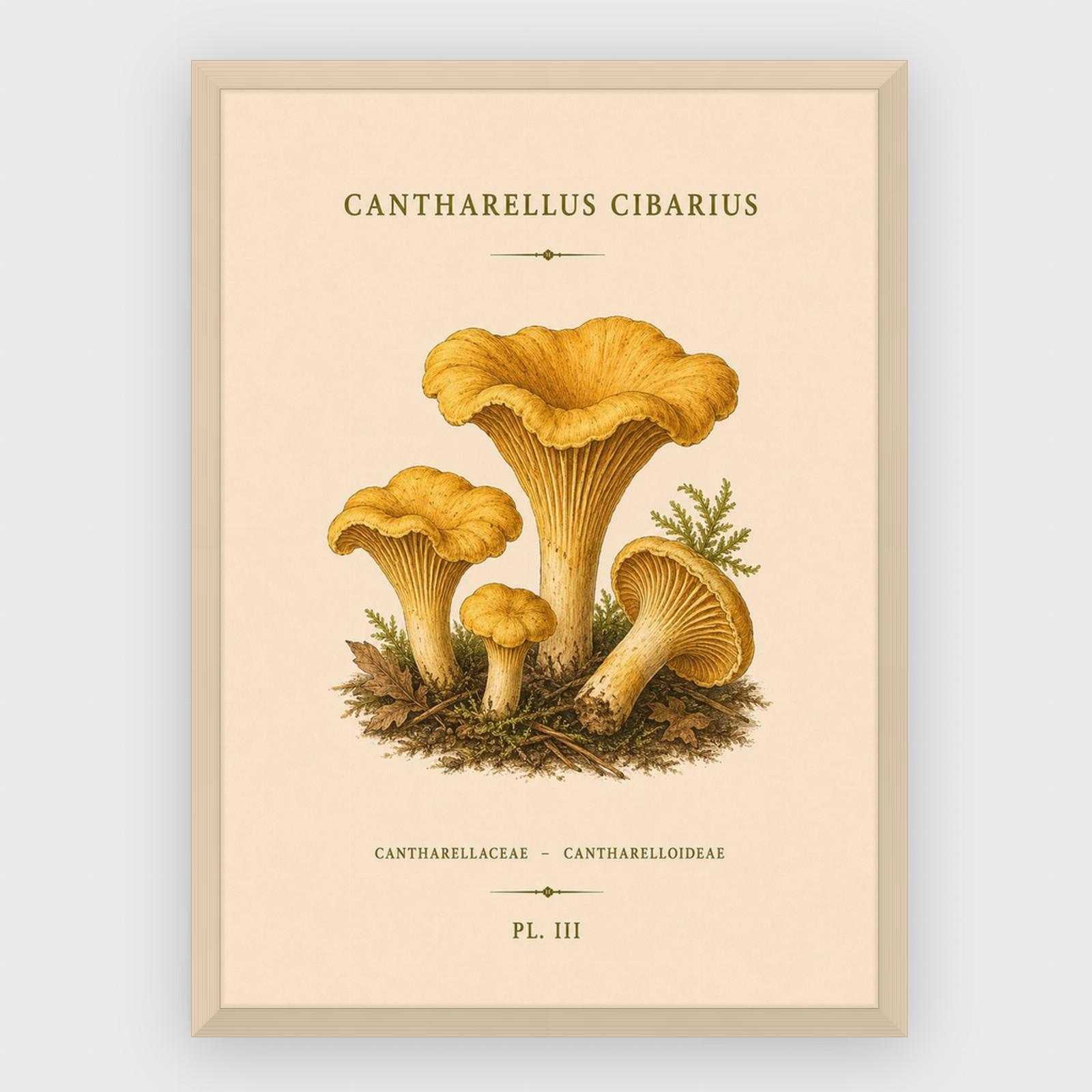 Gastronomi – nr 19