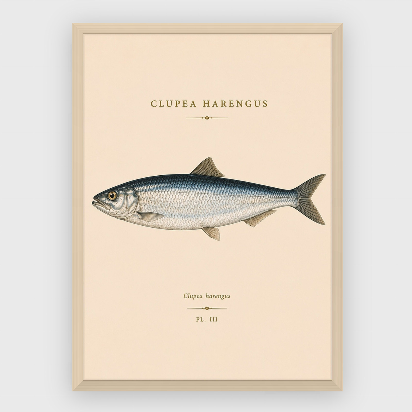Gastronomi – nr 41